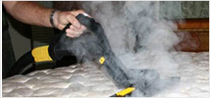 heat cleanning with dry steam for bed bugs