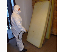 utilisation sécuritaire des pesticides homologués contre les punaises de lit