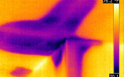 dégat d'eau dans la salle de bain